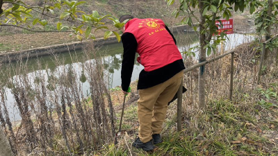 第47个植树节|荆州区郢城镇荆安村整治人居环境