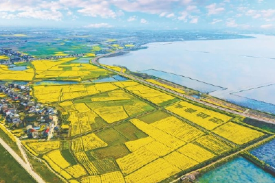 《湖北日报》2024年度荆楚十佳城市客厅 | 松滋小南海湿地公园——浊水化清波 蝶变谱新篇