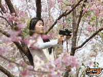 图集丨相约在春天，浅山来打卡