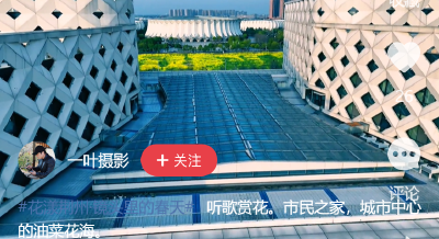 网友美拍丨中心城区油菜花田的氛围感