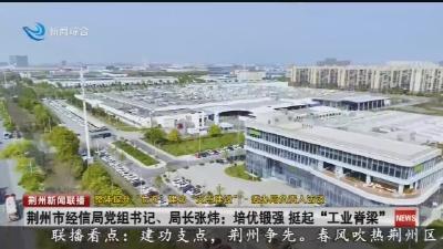 荆州市经信局党组书记、局长张炜:培优锻强 挺起“工业脊梁”