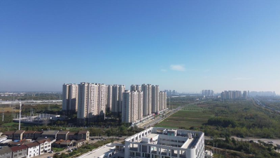 荆州区郢城镇：党建引领人居环境整治 绘就美丽乡村新画卷