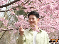 图集丨相约在春天，浅山来打卡