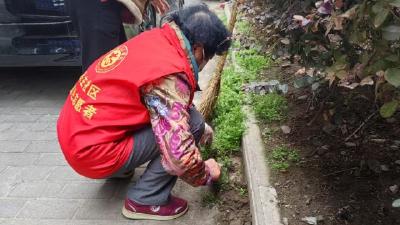 荆州区西城街道民主社区：扫尘除草护家园 旧院焕新展笑颜