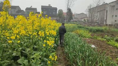 江陵县沙岗镇：“禁毒哨兵”在行动，筑牢基层防护墙