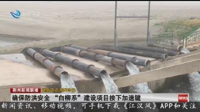 确保防洪安全 “白柳系”建设项目按下加速键