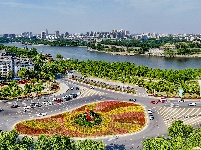 图集 | 花团锦簇迎“五一”