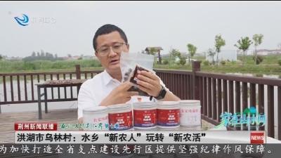 洪湖市乌林村：水乡“新农人”玩转“新农活”