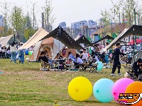 春日露营正当时 