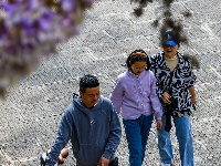 图集 | 清明假期赏古城春色