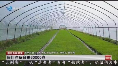 春耕春播农事忙 应对天旱忙灌溉