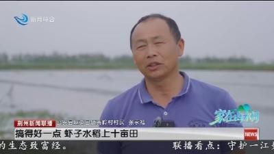 公安县黄岭村：从“碎田”到“金田”的生态致富经