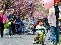 图集 | 清明假期赏古城春色