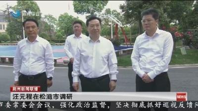 汪元程在松滋市调研