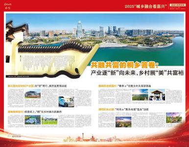 城乡融合看嘉兴｜共融共富的桐乡答卷：产业逐“新”向未来，乡村展“美”共富裕