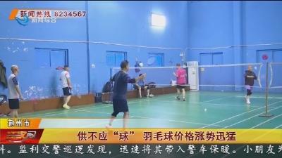 供不应“球” 羽毛球价格上涨迅猛