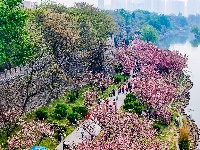 图集 | 清明假期赏古城春色