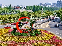 图集 | 花团锦簇迎“五一”