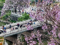 图集 | 清明假期赏古城春色