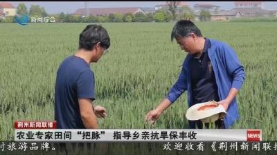 农业专家田间“把脉” 指导乡亲抗旱保丰收