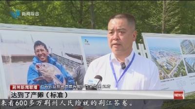 石首：9000多公斤四大家鱼原种亲本放流长江