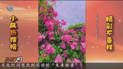 小风热搜榜