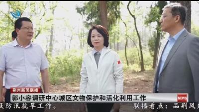 郭小容调研中心城区文物保护和活化利用工作