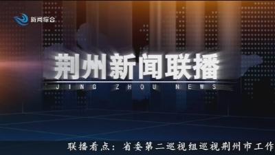 荆州新闻联播 2025-04-17