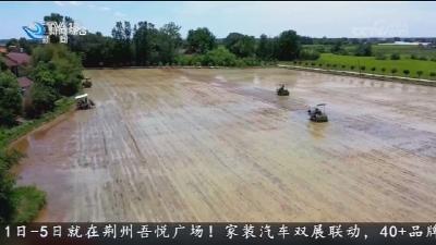 科技赋能水稻育秧 春耕生产跑出”加速度“