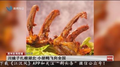 短消息:全线铺轨贯通! 荆州到襄阳1小时