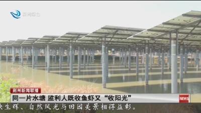 同一片水塘 监利人既收鱼虾又“收阳光”