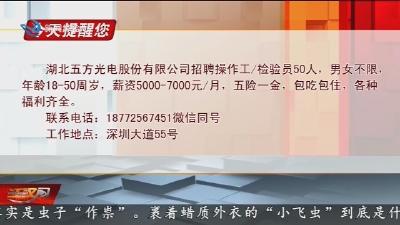 今天提醒您 2025-04-13
