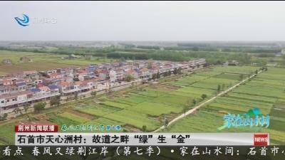 石首市天心洲村：故道之畔“绿”生“金”