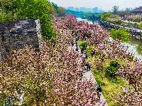 图集 | 清明假期赏古城春色