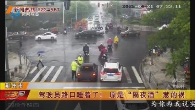 驾驶员路口睡着了! 原是“隔夜酒”惹的祸