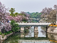 图集 | 清明假期赏古城春色