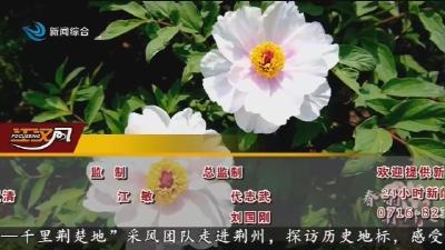 江汉风 2025-04-16