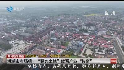 洪湖市府场镇：“弹丸之地”续写产业“传奇”