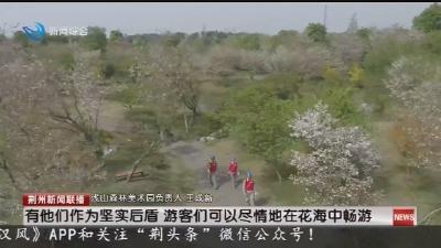 “满格电”守护春日繁花盛宴