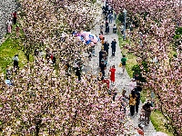 图集 | 清明假期赏古城春色