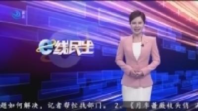 月季蔷薇枝头俏 满城繁花醉游人!