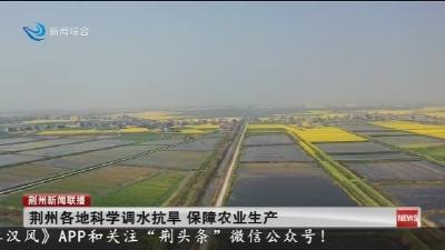 荆州各地科学调水抗旱 保障农业生产