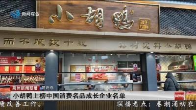 小胡鸭上榜中国消费名品成长企业名单