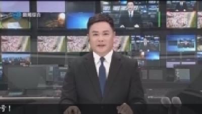 新技术 新装备 新模式 助力荆州农业提质增效