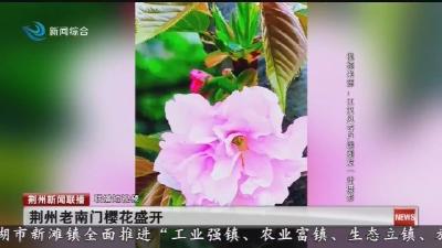 短消息：荆州一季度以旧换新销售总额超5亿元