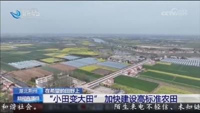 央视新闻报道：“小田变大田” 加快建设高标准农田