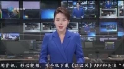  汪元程在荆州区、荆州高新区调研