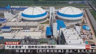 “只此青绿”！荆州何以如此惊艳?