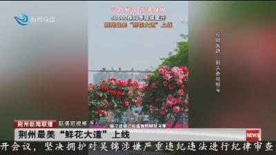 联播短视频：荆州最美“鲜花大道”上线
