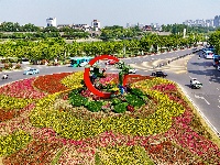 图集 | 花团锦簇迎“五一”